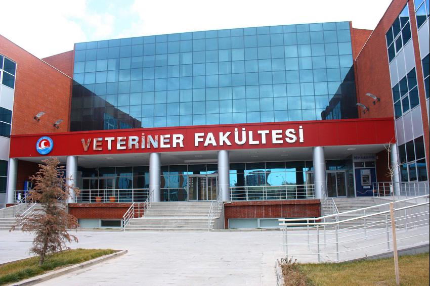 Hayvancılıkta Pilot Üniversitenin Ulusal ve Uluslararası Akreditasyona Sahip Fakültesi: MAKÜ Veteriner Fakültesi