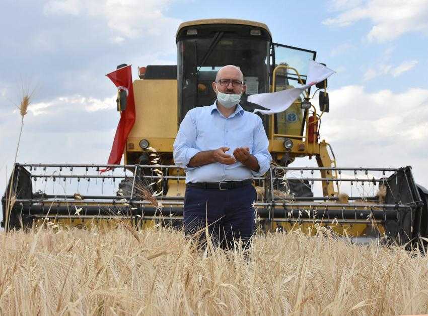 MAKÜ’de Hasat Zamanı Başladı