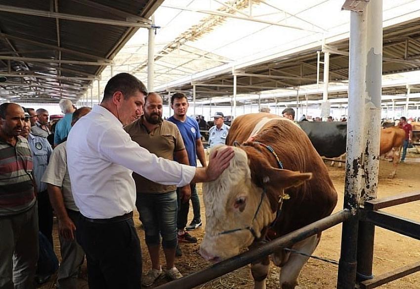 Başkan Ercengiz’den Kurban atıklarının bertarafı çağrısı