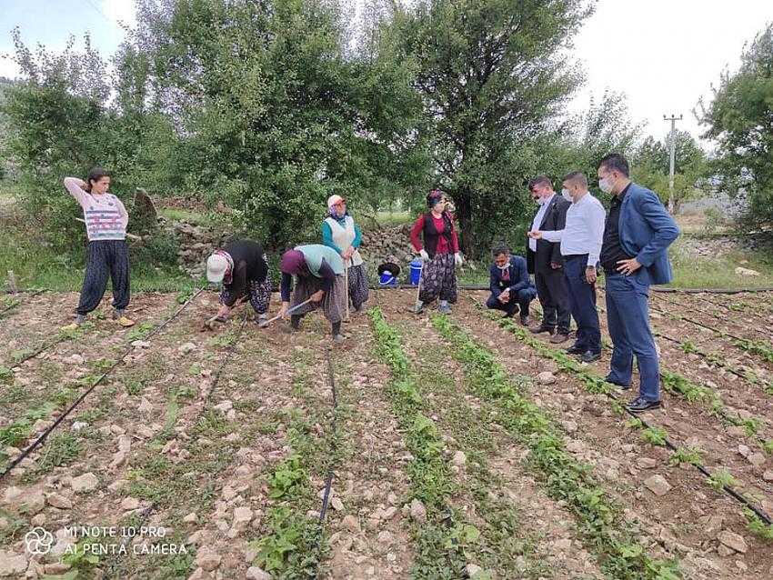 CHP’liler dolu felaketinden etkilenen çiftçi ve üreticileri ziyaret etti