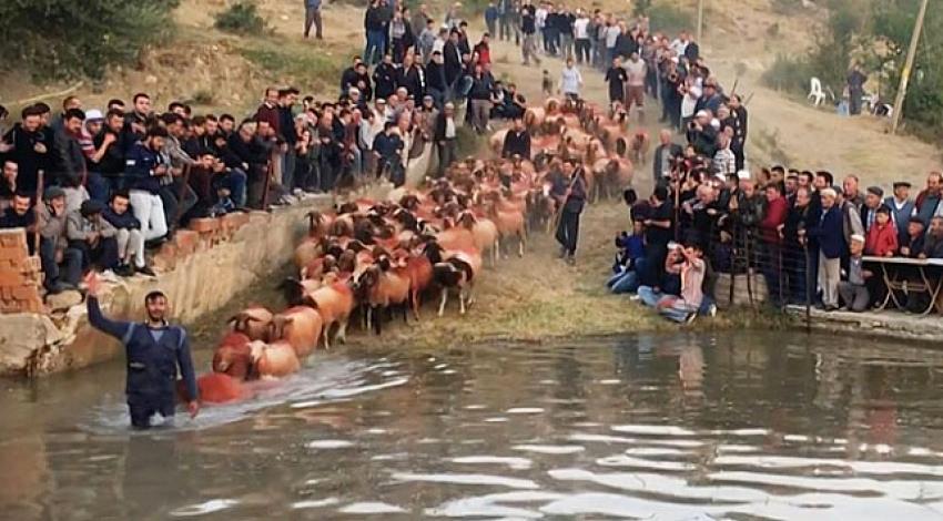 Yedi Asırlık Gelenek Sürdürülüyor