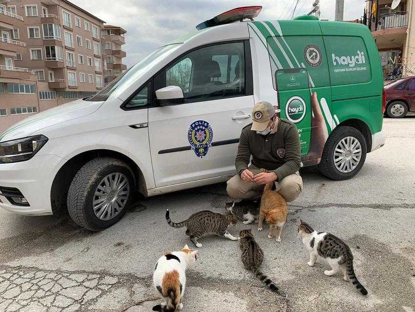 Çevre Doğa ve Hayvan Koruma Polisleri Görev Başında