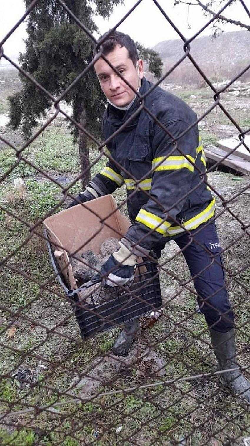 İtfaiye Ekipleri Tek Tek Kurtardı