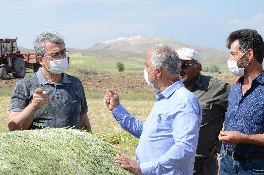 BTB Başkanı Gündüzalp: Hayvancılığın Geleceği Kaba Yemde!