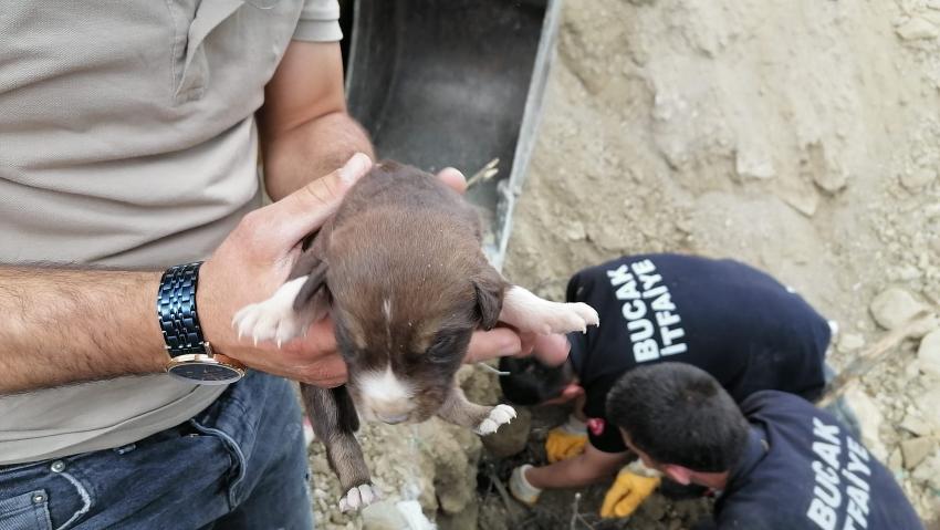 TOPRAK ALTINDA KALAN KÖPEK YAVRULARINI İTFAİYE KURTARDI