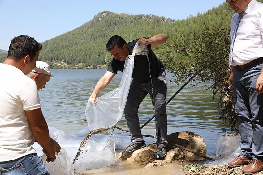 21 su kaynağına 613.200 yavru balık