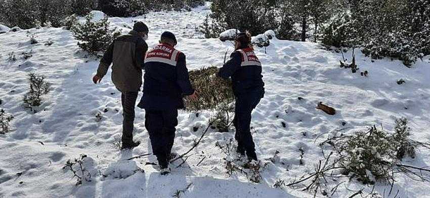 JANDARMA EKİPLERİ YİYECEK BULMAKTA GÜÇLÜK ÇEKEN YABAN HAYVANLARNI BESLEDİ