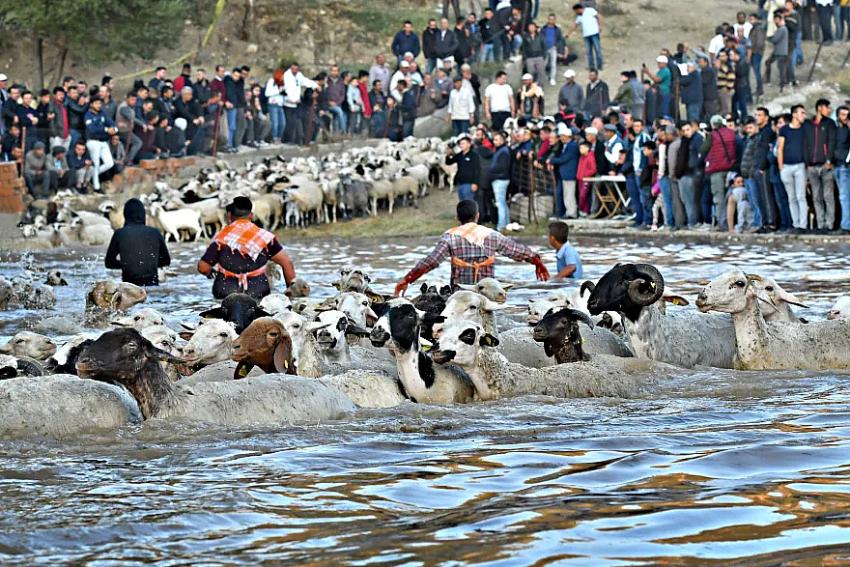 Burdur'un 750 yıllık geleneği! Hasanpaşa'da Yünüm Böğet Şenliği