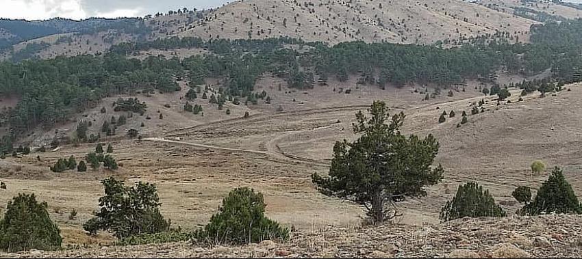 Eşeler Yaylası’nda bilirkişi keşfi ertelendi