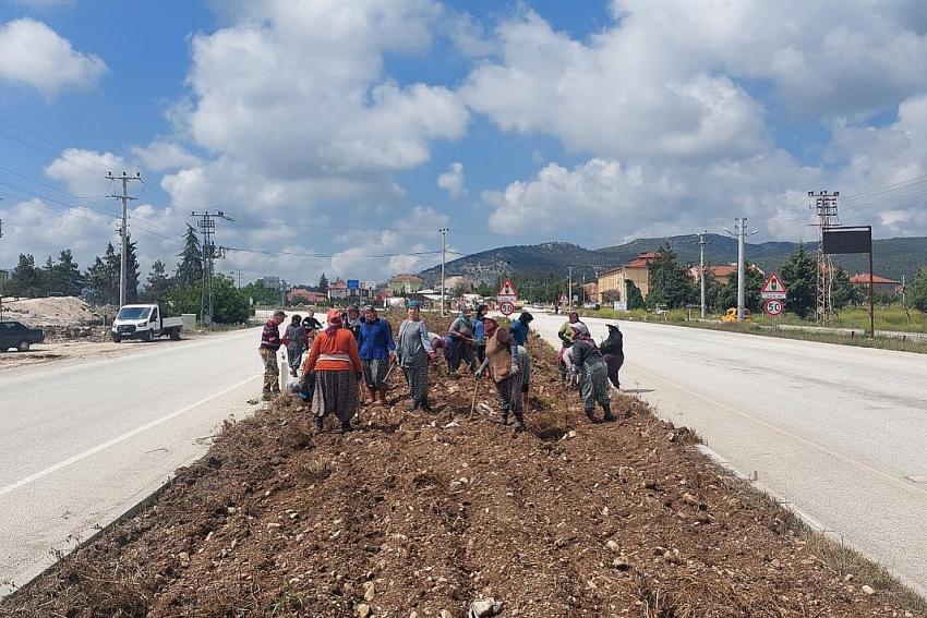 TEFENNİ SOKAKLARI GÜL BAHÇESİNE DÖNECEK