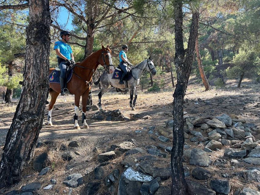 JANDARMA EKİPLERİ ORMAN YANGINLARININ ÖNLENMESİNE YÖNELİK DENETİMLERİNE ARALIKSIZ DEVAM EDİYOR