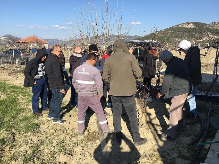 Burdur’da Çiftçilere Budama Eğitimi Veriliyor