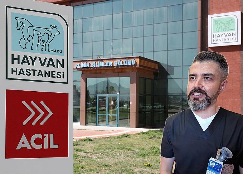 MAKÜ’den Evcil Hayvanlara Büyük Destek