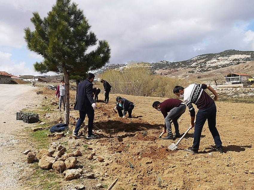 HER YER LAVANTA KOKACAK PERSONEL KOLLARI SIVADI LAVANTALARI DİKTİ