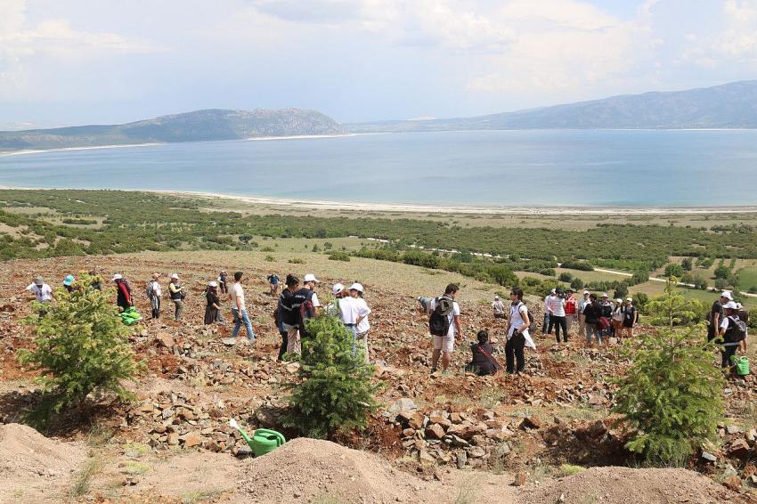 SALDA GÖLÜ ÜZERİNDEKİ ARAZİYE 300 ADET KÖKNAR VE ARDIÇ FİDANI DİKİLDİ