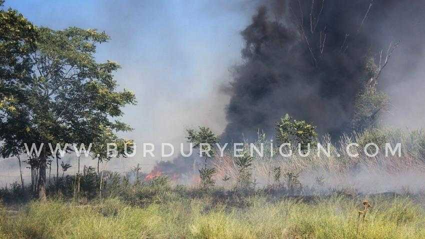  Şeker plajında sazlık yangını