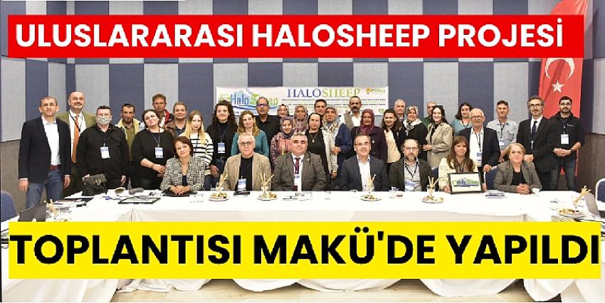 ULUSLARARASI HALOSHEEP PROJESİ'NİN TOPLANTISI MAKÜ'DE YAPILDI