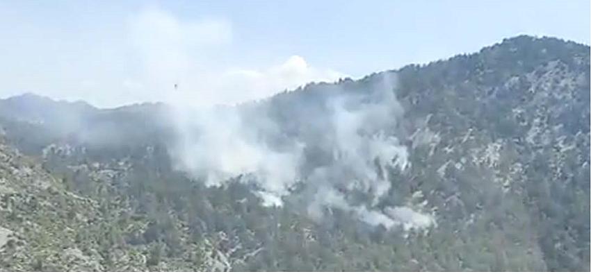 BURDUR-ANTALYA SINIRINA YAKIN BÖLGEDE ORMAN YANGINI ÇIKTI