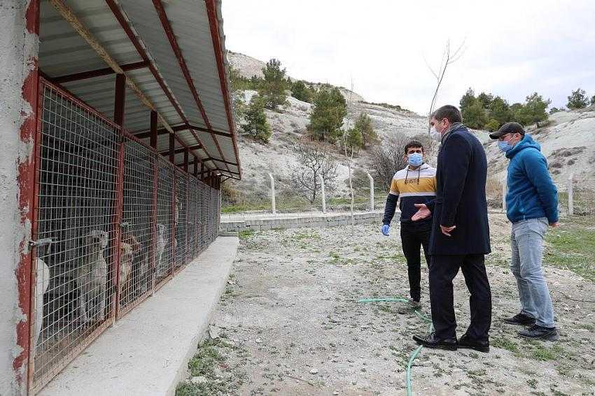 BAŞKAN ERCENGİZ, BARINAK İNŞAATINDA İNCELEMELERDE BULUNDU