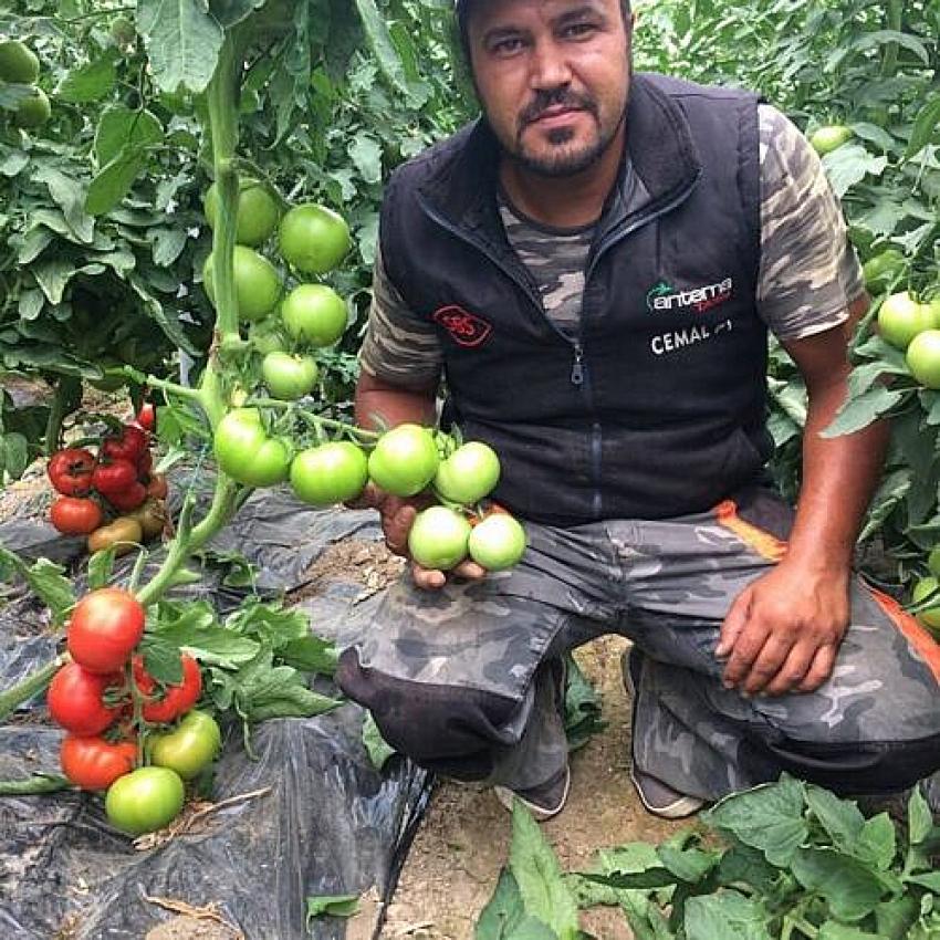 SÖĞÜT ÜLKÜ OCAKLARI BAŞKANI KAZADA YAŞAMINI YİTİRDİ