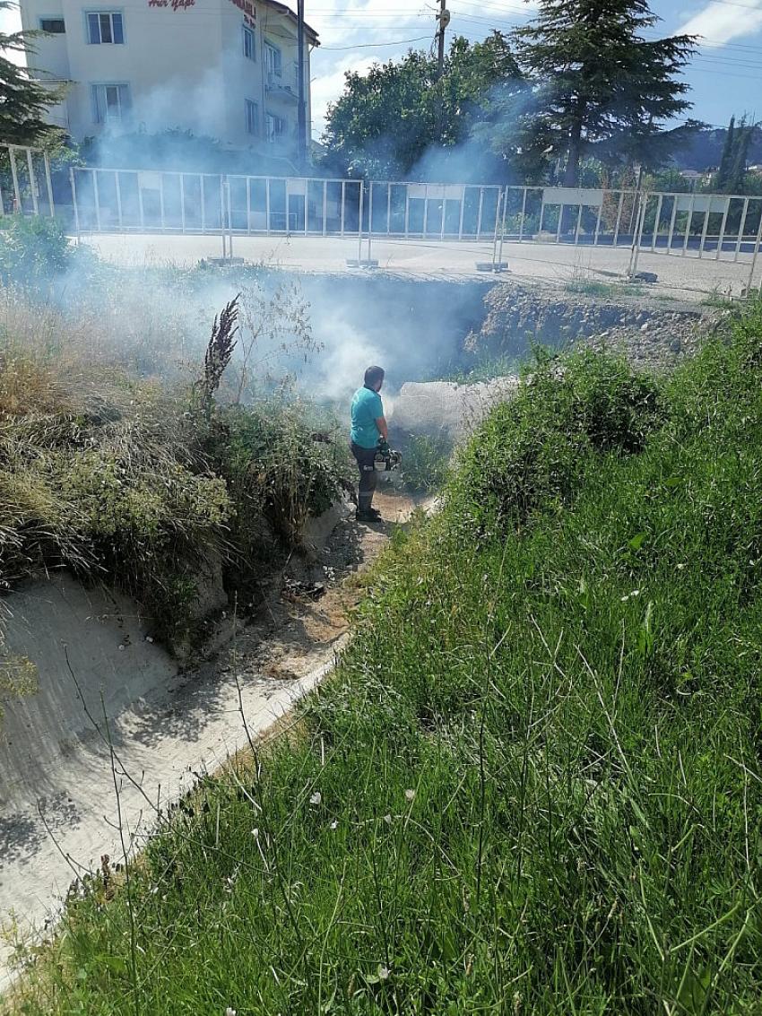 Burdur Belediyesi’nin haşere ile mücadelesi ediyor