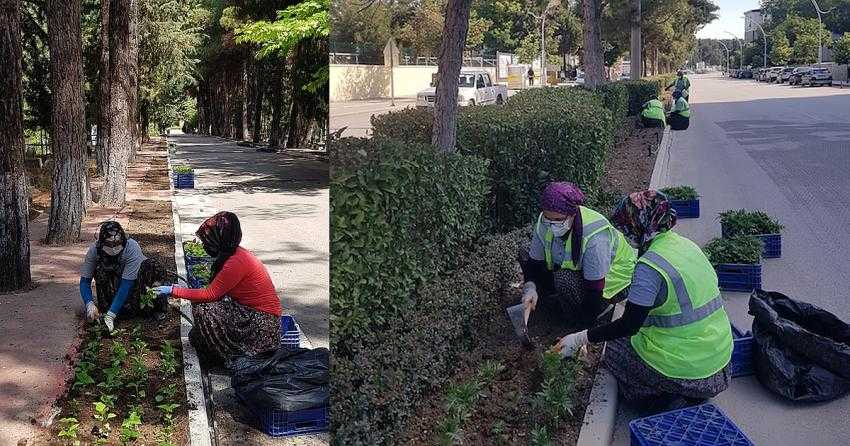 Burdur'da Mezarlıklar çiçek açacak