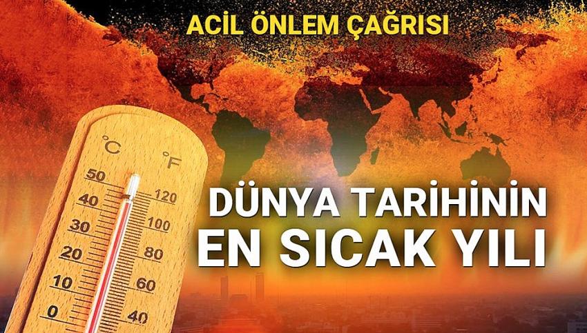 2020, en sıcak yıl olarak tarihe geçti