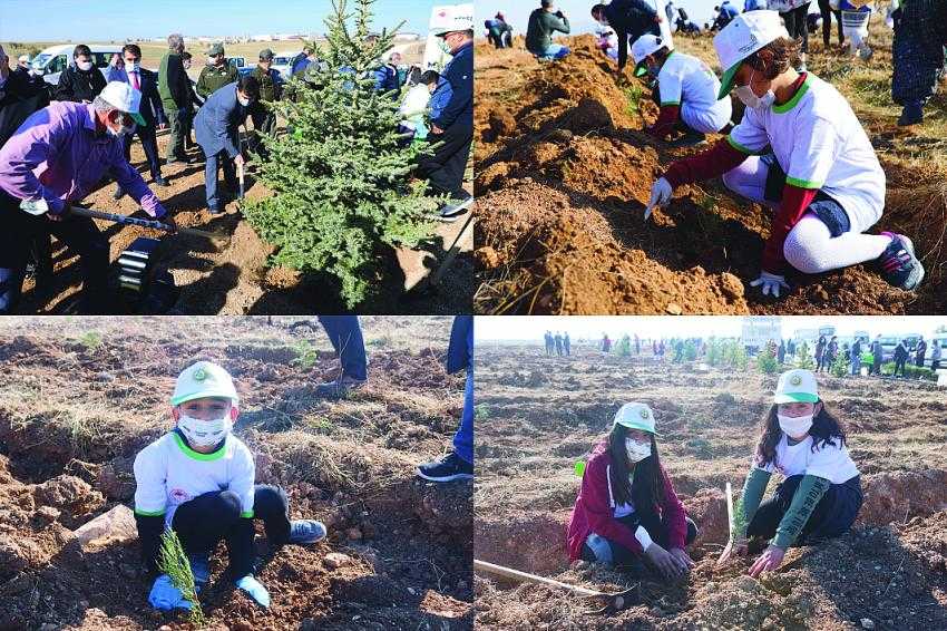 Burdur’da 15 bin fidan toprakla buluştu