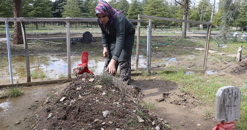 ÖLDÜRÜLEN GİZEM CANBULUT’UN AİLESİ SANIĞA YAPILAN İNDİRİMLERE İTİRAZ EDECEK