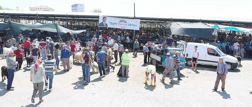 Burdur merkezde, HAYVAN PAZARI yeniden açılıyor