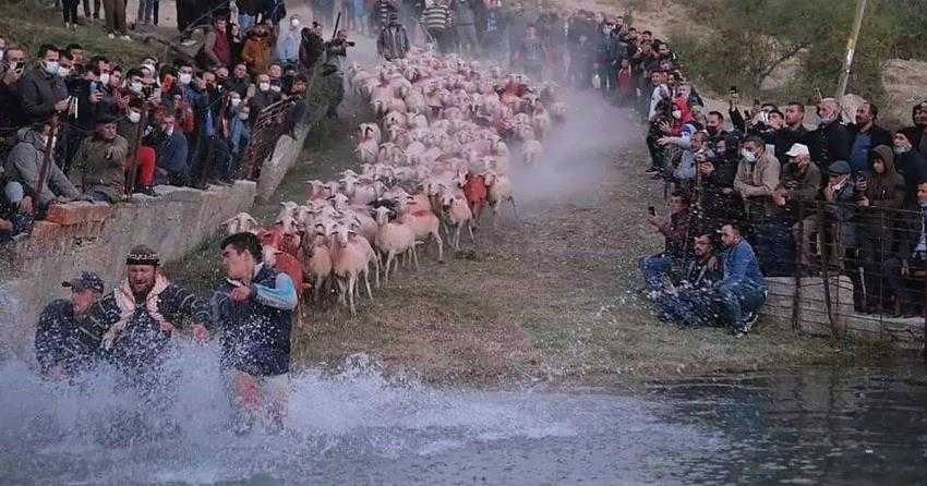 Hasanpaşa'da Yünüm Böğet