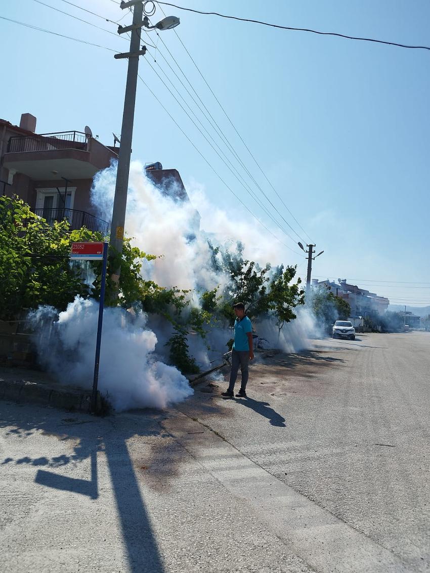 Burdur’da sivrisineklere karşı etkin mücadele