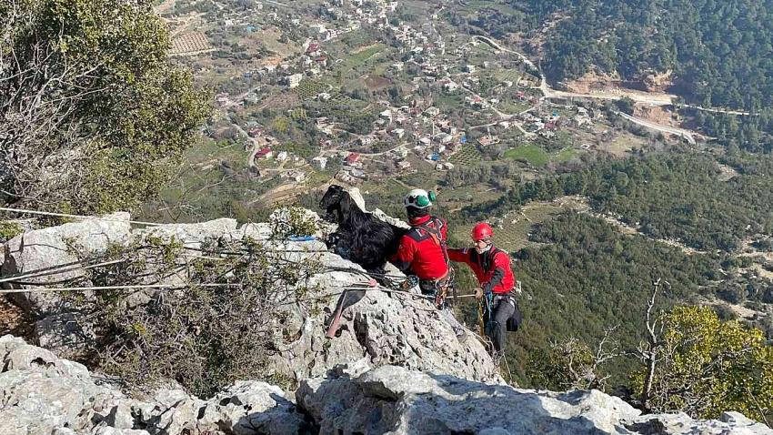 Çeltikçi'de kayalıklarda mahsur kalan keçiler kurtarıldı