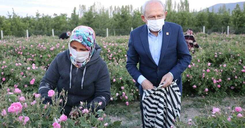 KILIÇDAROĞLU GÜNE ‘GÜL HASADI’ İLE BAŞLADI