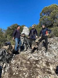 AFAD Ekipleri Bucak’ta Mahsur Kalan Keçiyi Kurtardı