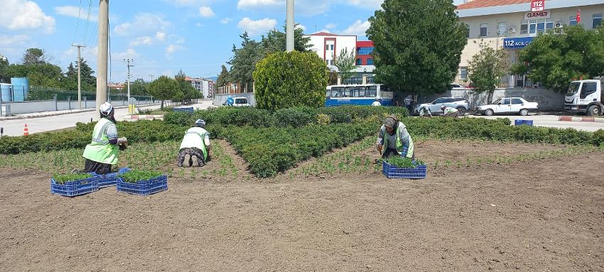 Refüjler, Kavşaklar ve Parklar Mevsimlik Çiçeklerle Buluştu