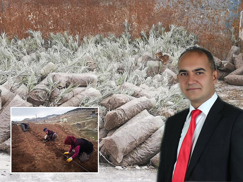 Tefenni'de Ağaçlandırma Seferberliği