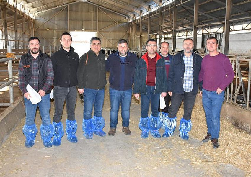 MAKÜ’de Süt Sığırcılığı İşletmelerine Yönelik Belgelendirme Süreci Bucak’ta Başladı