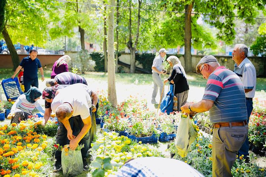 Burdur Belediyesi Asri Mezarlıkta 10 bin çiçek fidesi dağıttı